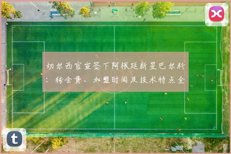 切尔西官宣签下阿根廷新星巴尔科：转会费、加盟时间及技术特点全解析
